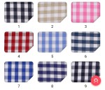 2003-Yarn dyedlyocell medium gingham